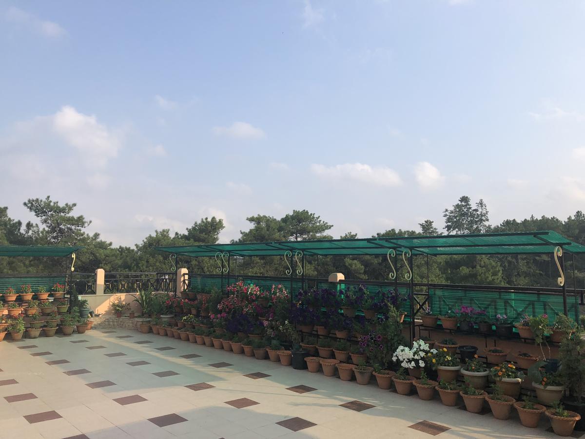 Orange Homestay Shillong Exterior foto